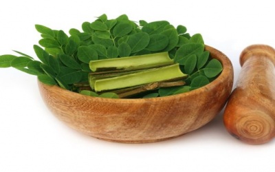 5 lợi ích sức khỏe của lá chùm ngây