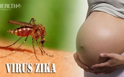 Virus Zika nguy hiểm với thai nhi ở tuần thai bao nhiêu?