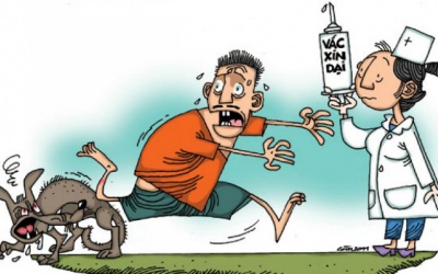 Muốn phòng dại nên tiêm vaccine nào?