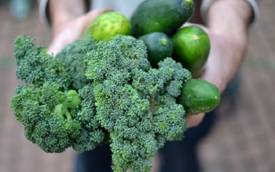 Tìm ra enzyme trong rau củ giúp làm chậm quá trình lão hóa