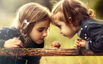 Tử vi 12 cung hoàng đạo thứ hai (31/10/2016)