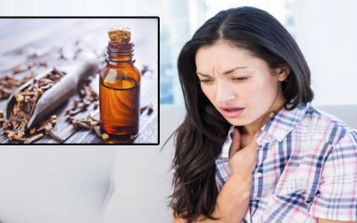 Đinh hương - Dược liệu tự nhiên chữa ho và đau họng