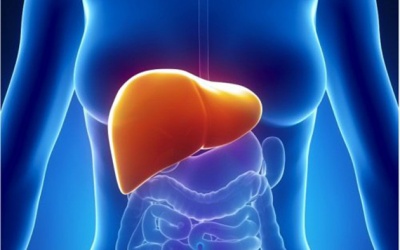 4 cách ngăn ngừa gan nhiễm mỡ ở phụ nữ bị buồng trứng đa nang