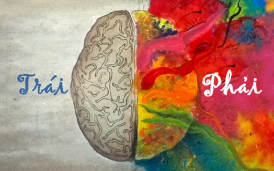 Mối quan hệ giữa động kinh và vùng não bị tổn thương