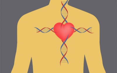 Bệnh tim di truyền vẫn có thể phòng tránh được?