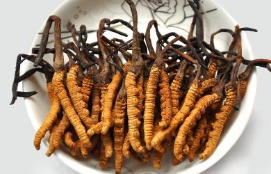 Đông trùng Hạ thảo - Bí quyết làm đẹp của những mỹ nhân Trung Hoa