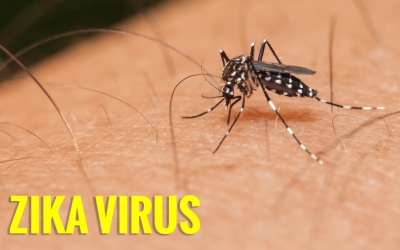 TPHCM: Quận huyện “than khó” trong chống dịch Zika