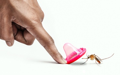 Chỉ dẫn quan hệ tình dục an toàn ngăn ngừa lây nhiễm virus Zika