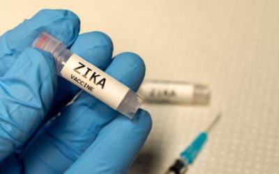 Có thêm công cụ mới phát triển vaccine phòng ngừa virus Zika