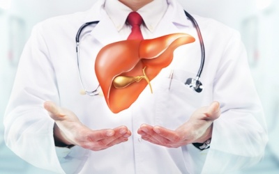 Chế độ ăn giàu protein có thể có lợi cho người bị gan nhiễm mỡ