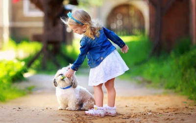 Ngày 26/11/2016 có gì đặc biệt với bạn?