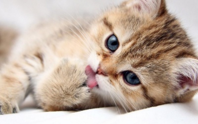 Chào tuần mới với tử vi ngày 28/11!