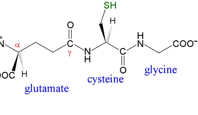 Glutathione - dưỡng chất làm trắng và chống lão hóa da cực mạnh