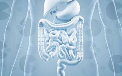 Trị rối loạn tiêu hóa, phòng táo bón với men vi sinh và chất xơ