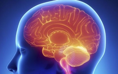 Ứng dụng liệu pháp tế bào gốc cho điều trị bệnh Parkinson