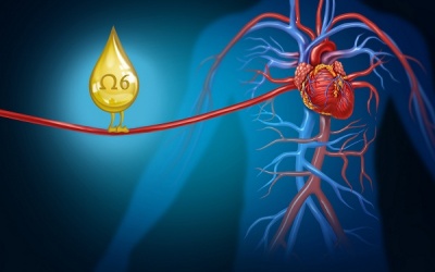 Dư thừa chất béo làm tăng nguy cơ suy tim ở người già