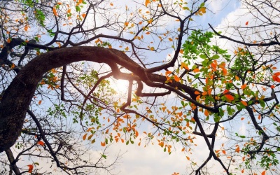 Thời tiết nóng, lạnh thất thường ở Bắc Bộ bao giờ chấm dứt?