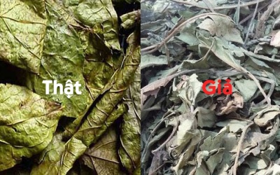 Mua xạ đen hóa ra xạ vàng, xạ lai