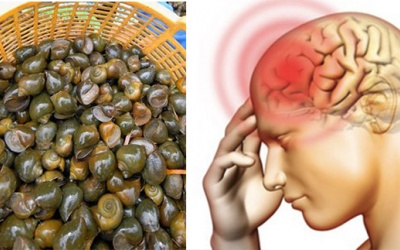 Chế biến ốc bươu vàng thế nào cho ngon để không bị viêm màng não?