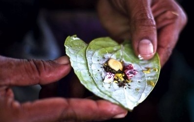 Người già có nên ăn trầu?