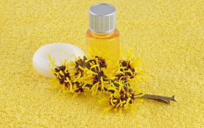 Bạn đã biết cách dùng nước cây phỉ để chăm sóc da?