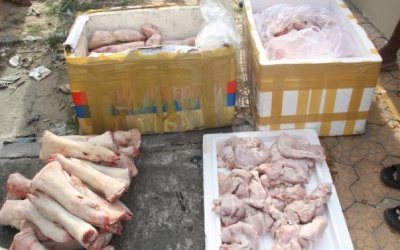 Phát hiện hàng ngàn con chim cút, hàng trăm chân giò heo thối trên xe khách