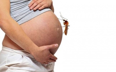 Dịch bệnh Zika lan rộng khắp Sài Gòn