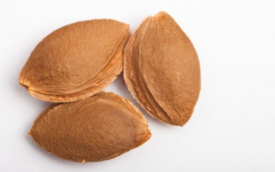 Ngộ độc chết người do ăn hạt mơ để chữa ung thư