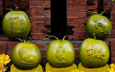 Dừa 'Song Kê' giá tiền triệu mỗi trái