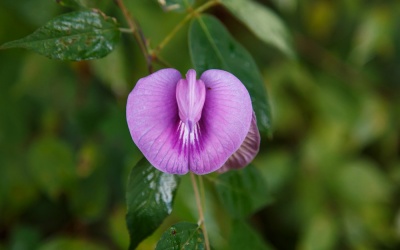 7 hiểu lầm tai hại về phần môi “cô bé”