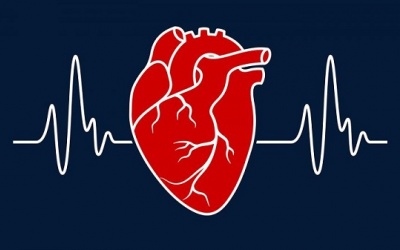 10 hiểu biết cơ bản về bệnh suy tim ai cũng nên nắm rõ