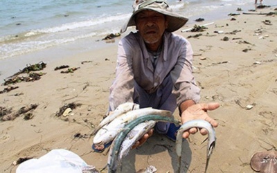 10 sự kiện của ngành tài nguyên không có sự cố môi trường Formosa