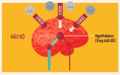Stress xảy ra như thế nào?