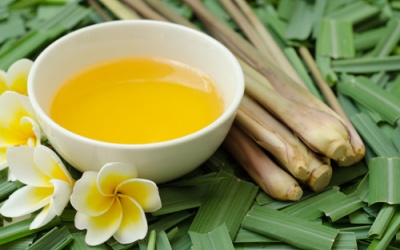 Cách làm tinh dầu sả khử mùi ẩm mốc cho ngày mưa lạnh