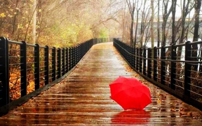 Tử vi 12 cung hoàng đạo thứ năm (12/1/2017)