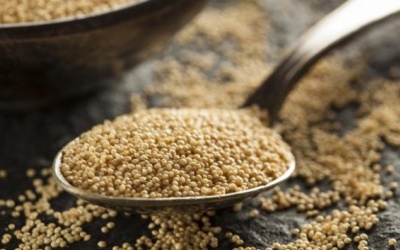Hạt rau dền giúp xương chắc khỏe, ổn định cholesterol trong máu