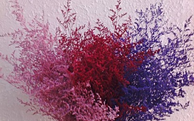 Hoa sao khô tẩm phẩm màu độc hại 'bung lụa' dịp Tết Đinh Dậu 2017