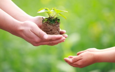 Cho đi hạnh phúc hơn nhiều nhận lại