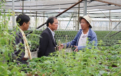 Khởi nghiệp từ nông nghiệp - một hướng đi bền vững