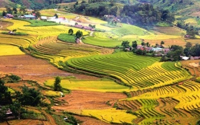 Năm Đinh Dậu ghé các địa danh mang tên gà ở Việt Nam