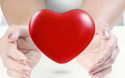 5 loại dầu giàu chất béo không bão hòa rất tốt cho tim mạch