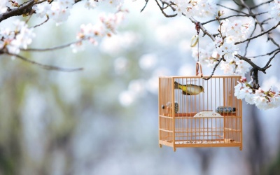 Tử vi 12 cung hoàng đạo thứ năm (9/2/2017)