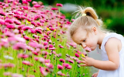 Tử vi 12 cung hoàng đạo thứ bảy (11/2/2017)