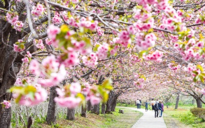 Tử vi 12 cung hoàng đạo thứ ba (14/2/2017)