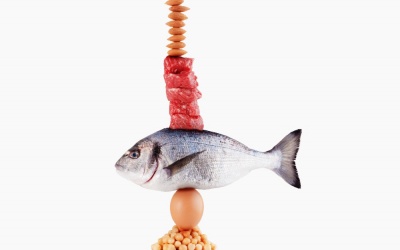 5 hiểu lầm tai hại về protein