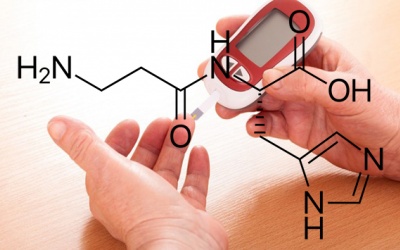 Carnosine vừa chống lão hóa, vừa ngăn đái tháo đường type 2
