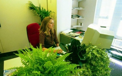 Tuyệt đối không trồng 5 cây mang nhiều xui xẻo, âm khí trong vườn nhà