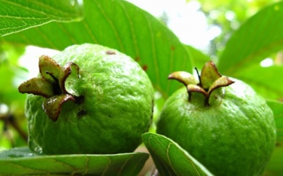 Không cần đến nha sĩ vẫn có thể tự làm trắng răng