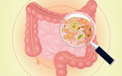 Mất cân bằng hệ vi khuẩn đường ruột gây viêm ruột như thế nào?