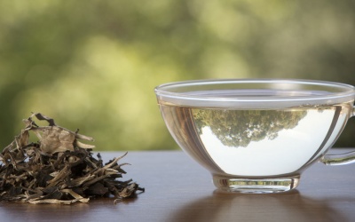 5 lợi ích sức khỏe đáng ngạc nhiên của trà trắng